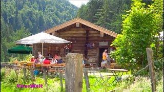 Von Weißbach zur Harbachalm - Wandern für Genießer