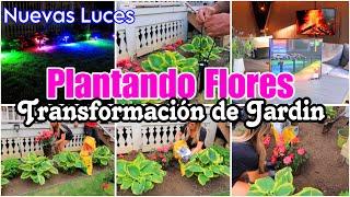 ARREGLA TU JARDIN CONMIGO 🪴 DECORANDO MI JARDÍN | NUEVAS LUCES PARA JARDIN  #motivacionparalimpiar