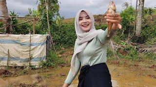 SERU BANGET...‼️NENG YULI GADIS CANTIK BERBURU IKAN DISAWAH HASILNYA MELIMPAH