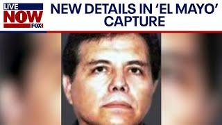 Cartel leader "El Mayo" was tricked into boarding plane before arrest | LiveNOW from FOX