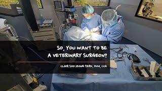 So, You want to be a Veterinary Surgeon? 미국에서 외과 전문의 되는 법ㅣ 수의사 인턴, 레지던트ㅣ외과전문의ㅣ Veterinary Specialist