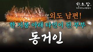 한 지붕 아래 타인이 된 부부! 남편의 바람끼는 목숨이 다하는 날까지 이어졌다.  [동거인-김선자 단편소설] #하소담오디오드라마