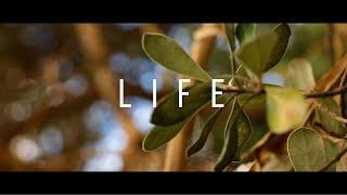 LIFE - a visual poem