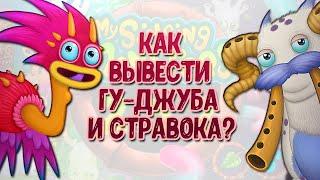 ГУ-ДЖУБ И СТРАВОК - КАК ВЫВЕСТИ?