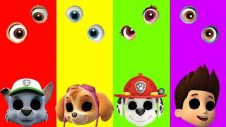 Wrong eyes challenge DAME TU COSITA Paw Patrol Funny Puzzle Wrong Heads