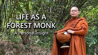 Life as a Forest Monk. A personal insight when practicing under Luangpor Sangob at Wat Pa Sukjai.