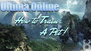 ULTIMA ONLINE | HOW TO TRAIN A PET | #animals #ultimaonline #2023