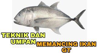 PANDUAN/TIPS DAN UMPAN MEMANCING IKAN GT (GIANT TREVALLY)