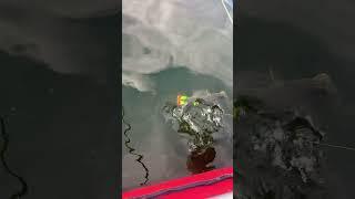 Ну все у нас открытие лодочного сезона наконец то  #fishing #озеро #рыбалка #lake #2025 #природа