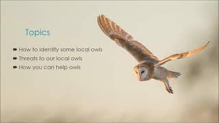 Owl Webinar Series Part Two: Owls of the Okanagan and Simlkameen