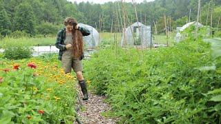 July Garden Tour: Harvesting Our Homegrown Groceries! 