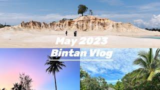 Vlog #15 - May Vlog 2023 | The Residence Bintan Resort | Mini Desert | Birthday Retreat