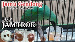 JAMU GENDONG ala Om Guik Kenari Bikin Cucak Ijo JAMTROK !!