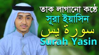 ৩৬ সূরা ইয়াসিন 36 Surah Yasin Video Qari Abu Rayhan سورة يس Qari Abu Rayhan হাফেজ ক্বারী আবু রায়হান