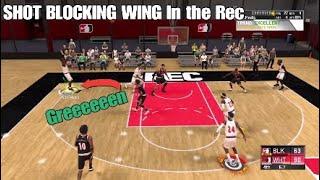 SHOT BLOCKING WING IN THE REC CENTER (2K Rare SF Build)