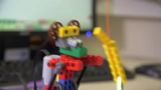 Young Engineers Robotics and Robo Bricks