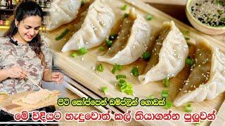 මේ විදියට හැදුවොත් කල් තියාගන්න පුලුවන් | Japanese Chicken Dumplings  