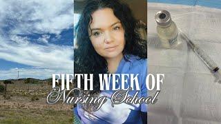 WEEK IN THE LIFE OF A NURSING STUDENT | & making time for family in Mexico