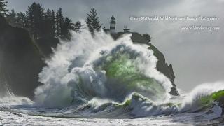 The Beautiful Wild Pacific Northwest (HD)