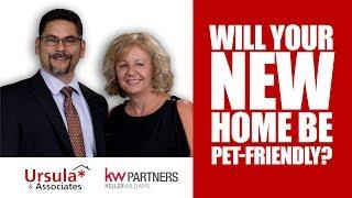 Woodstock, GA Real Estate Agent: 5 Tips for Pet Owners to Think About When Looking to Move