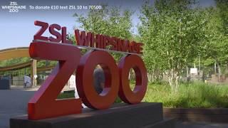 ZSL Whipsnade Zoo is OPEN!