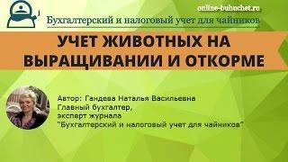 Счет 11. Животные на выращивании и откорме: бухгалтерский учет, проводки, актуальные вопросы