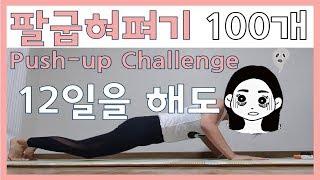 [push-up challenge] Day12 | 팔굽혀펴기 | 12일차 | 집에서 하는운동