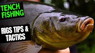 TENCH FISHING  - TIPS  - Rigs Tactics