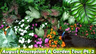 August Houseplant and Garden Tour Part 2