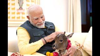 Deep Jyoti a New Member at PM Residence 7LKM is Truly Adorable