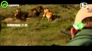 Lucky TV - Freek sloopt alles