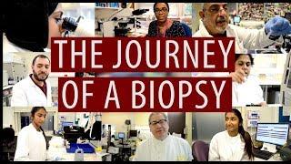 The journey of a biopsy #DiscoverPathology