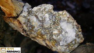 Gold & Silver In Mineralized Quartz Rock!