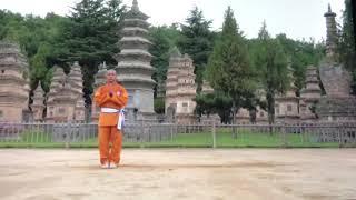 Shaolin Lian Huan Quan