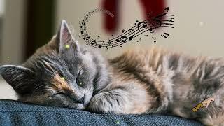 (No Ads) 10 Hrs Calming Music for Sensitive Cats(With Cat's Purr) Soothing Harp/Panio Music for Cats