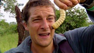 Kỹ Năng Sinh Tồn Trong Rừng Rậm Amazon Của Bear Grylls