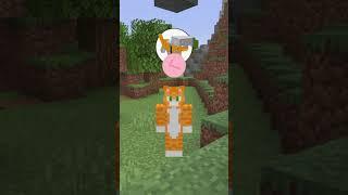 Удалённые предметы MINECRAFT | WICSUR #shorts