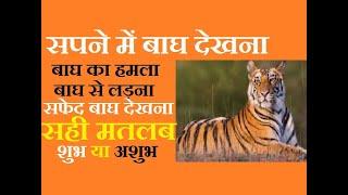 सपने में बाघ देखना मतलब क्या कैसा होता है ? सपने में बाघ का हमला, पीछे पड़ना, बाघ से लड़ना का अर्थ