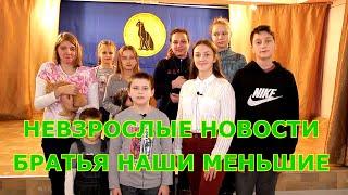 Невзрослые новости - Братья наши меньшие