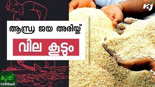 ജയ അരിക്ക് കേരളത്തിൽ വില ഉയരും; വ്യാജനും സജീവം| keralaricepricehike | andhrapradesh |ricepricetoday|