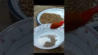 Homemade Chat Masala #tummilicious #ramazan #ramadan #shortvideo #trending #viral #easyrecipe