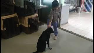 Bailey is submissive to the child he meets for the first time