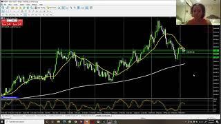 Estrategia perfecta para ganar 1000 pips diarios con VOLATILITY 75 INDEX