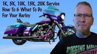 Harley Davidson 1k, 5k, 10k Service How To & What To Do For Beginners