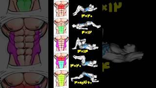 چربی سوزی پهلوآب کردن چربی های شکم و پهلوچربی سوزی در خانهکاهش وزن اصولی#عضله