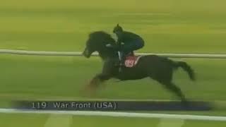 Самая быстрая лошадь в мире 2021
