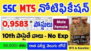 SSC MTS Havaldar Recruitment 2024 in Telugu | 10th పాసైతే చాలు | No Experience | 9583 పోస్టులు