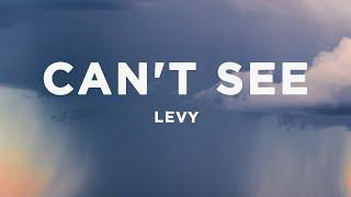 LEVY - can't see (Lyrics)