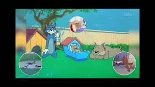 Tom And Jerry Remix 37