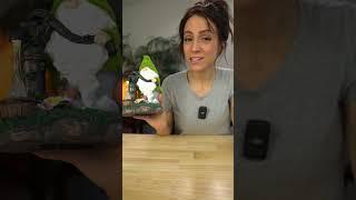 My Favorite Gift Idea Of 2024 | The Cutest Garden Gnome